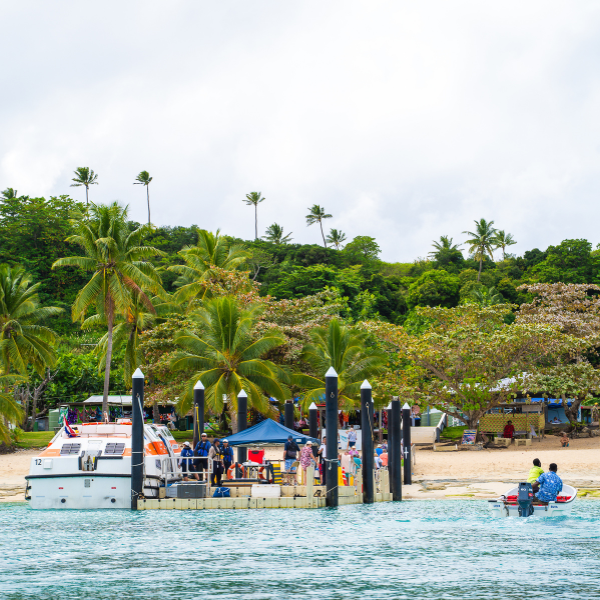 Dravuni Island